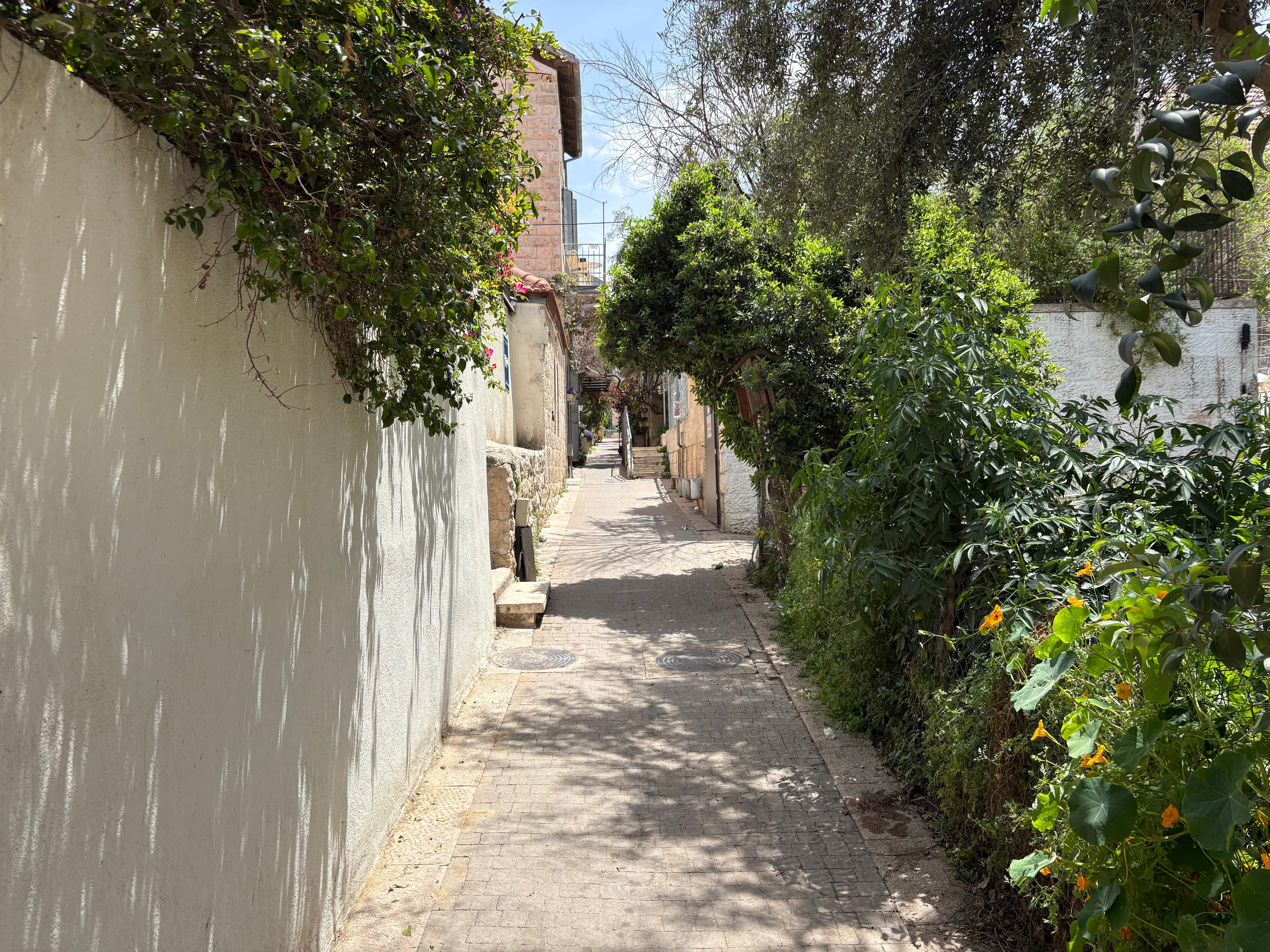 Jerusalem alley